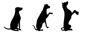 Evolutionary Dog Training Evolutionary Dog Training